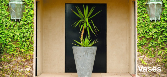Categorie categorie-vases.jpg